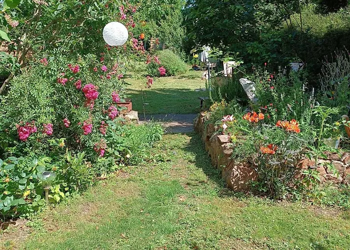 게스트하우스 La Voie Du Viaur