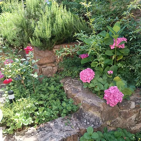 La Voie Du Viaur Pensionat